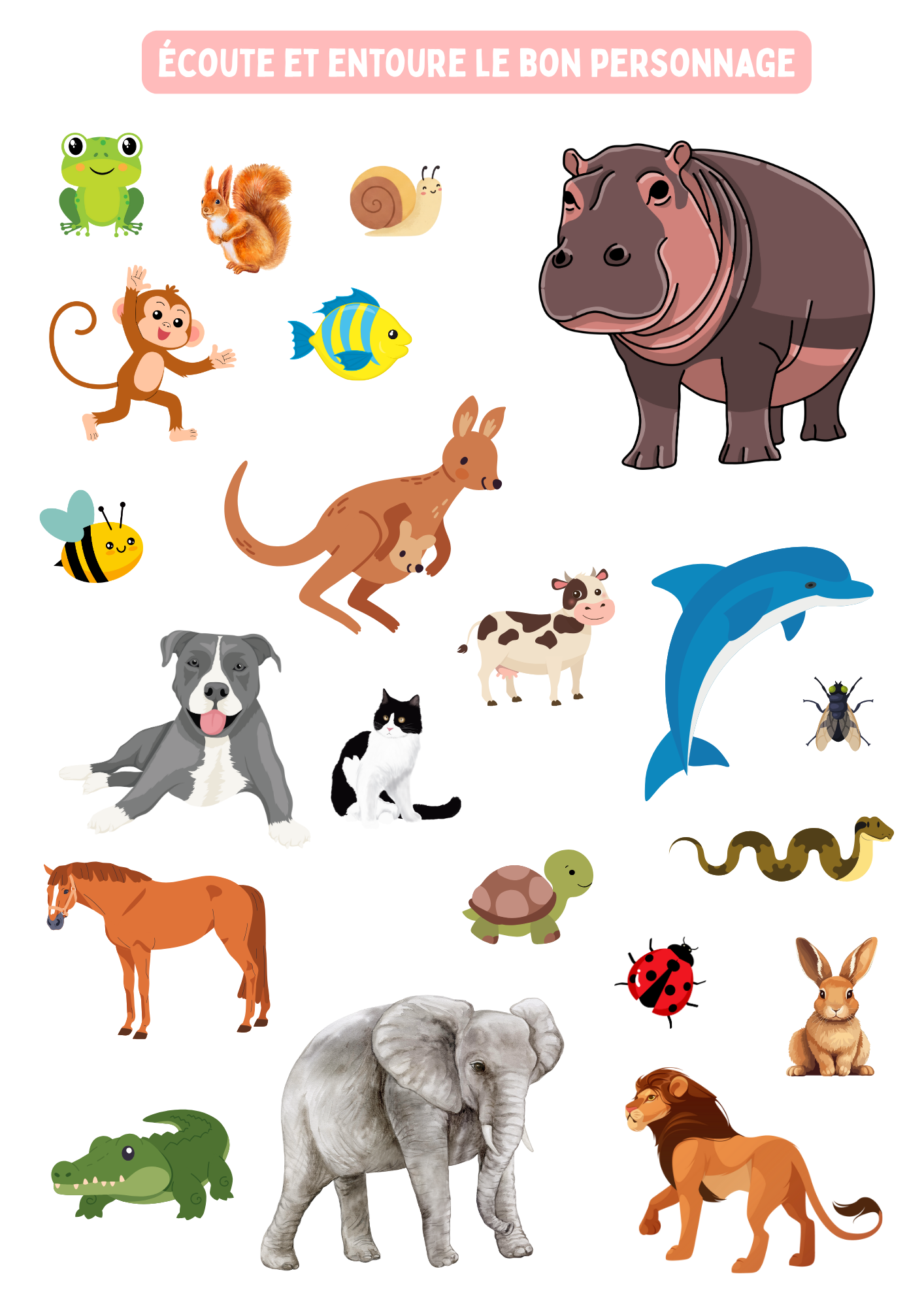 Activité préparation lecture - compréhension