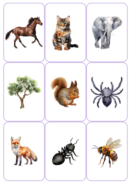 J'apprends à lire - Episode 2